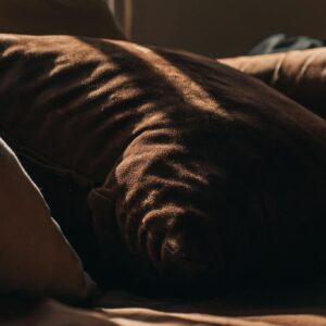 A cozy arrangement of brown cushions on a sofa, illuminated by soft morning light.