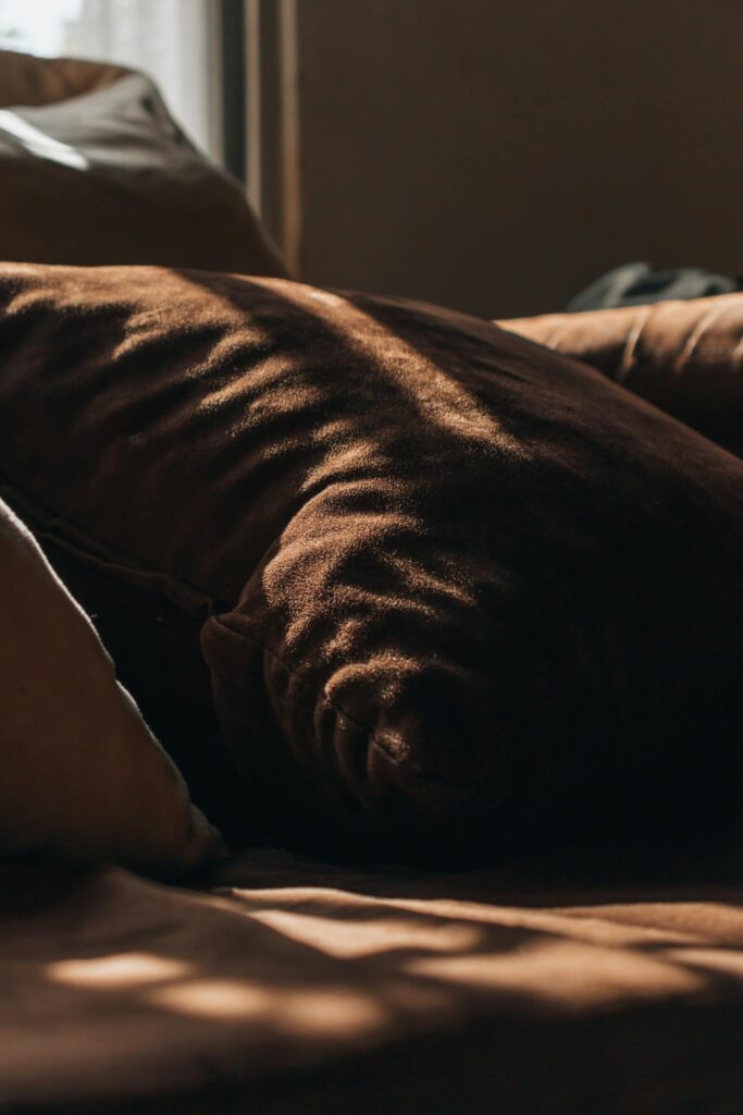 A cozy arrangement of brown cushions on a sofa, illuminated by soft morning light.